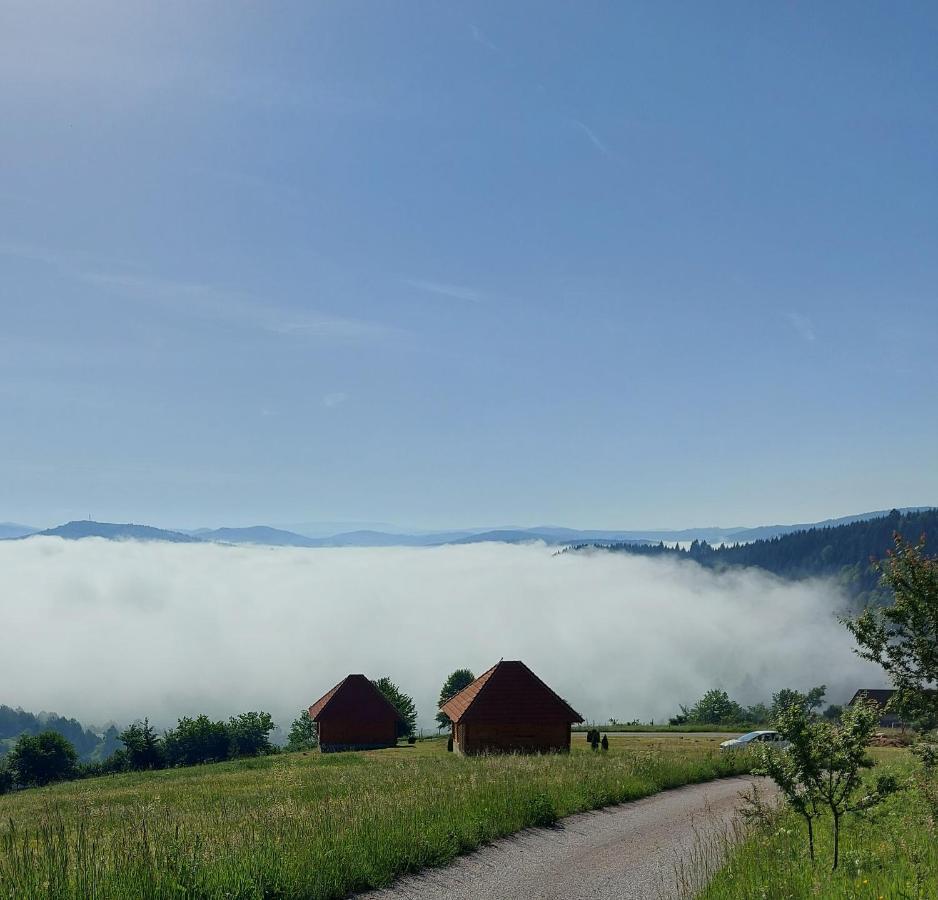 Ferienhaus Etno Domacinstvo Uvacki Konaci *